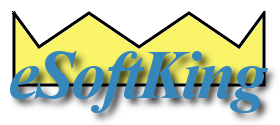 eSoftKing